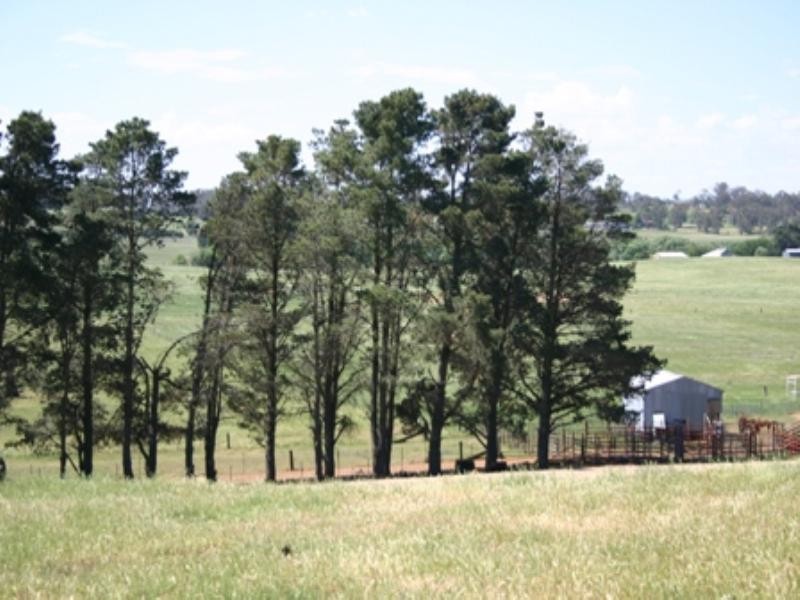 . Hillside Lane, Millthorpe NSW 2798