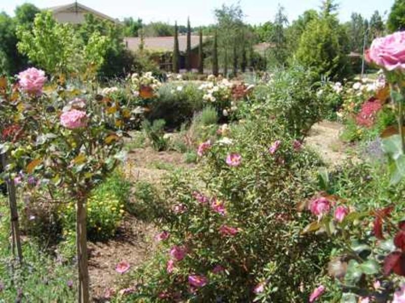 18 Pineridge Drive, Orange NSW 2800