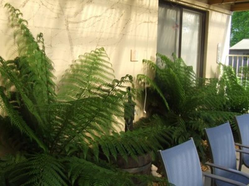 261 Dalton Street, Orange NSW 2800