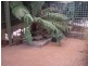 94 Franklin Road, Orange NSW 2800
