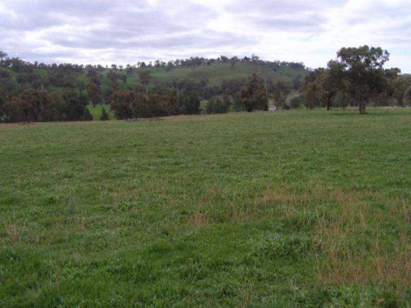 18 Paling Yards Loop, Cudal NSW 2864