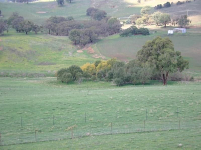 “Triangle Panuara Road, Orange NSW 2800