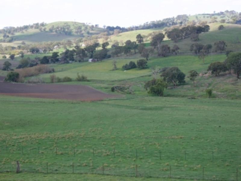 “Triangle Panuara Road, Orange NSW 2800