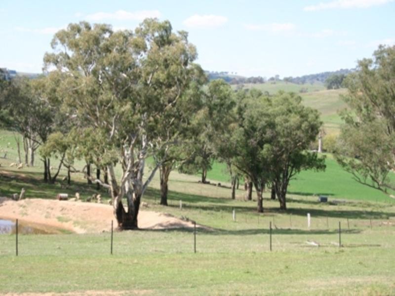 “Triangle Panuara Road, Orange NSW 2800