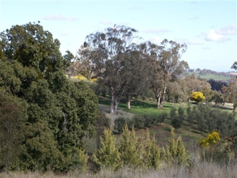 Kurrafalls Bowan Park Road, Orange NSW 2800