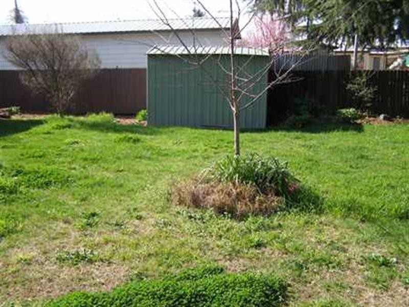 14 Rose Avenue, Orange NSW 2800