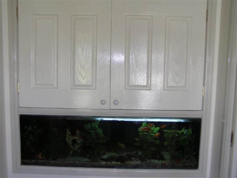 73 Burtons Lane, Forest Reefs NSW 2798