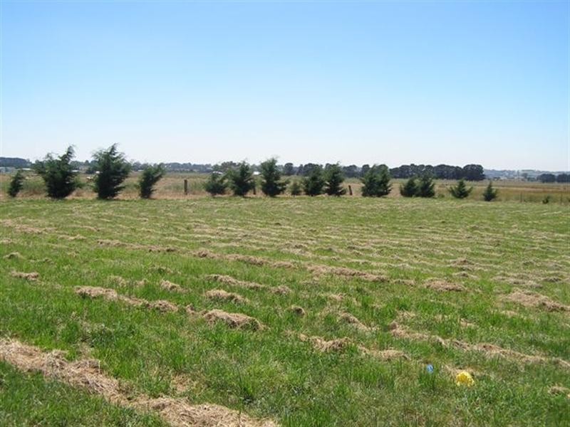 73 Burtons Lane, Forest Reefs NSW 2798
