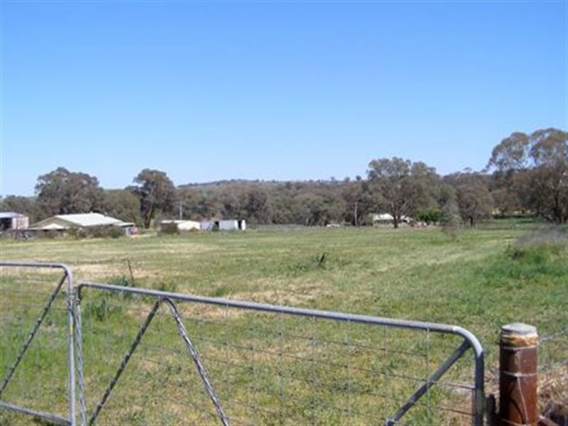 91 Main Street, Cudal NSW 2864