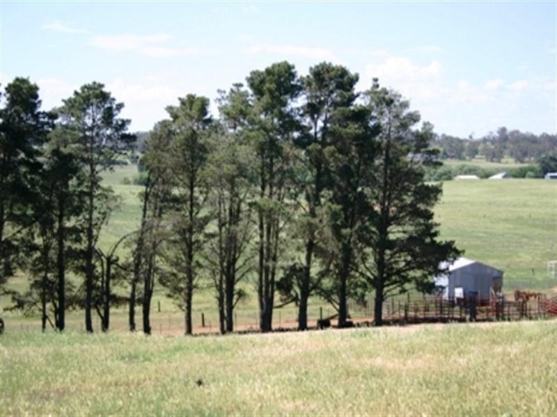 50 Hillside Lane, Millthorpe NSW 2798