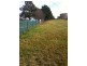 35 Worboys, Spring Hill NSW 2800