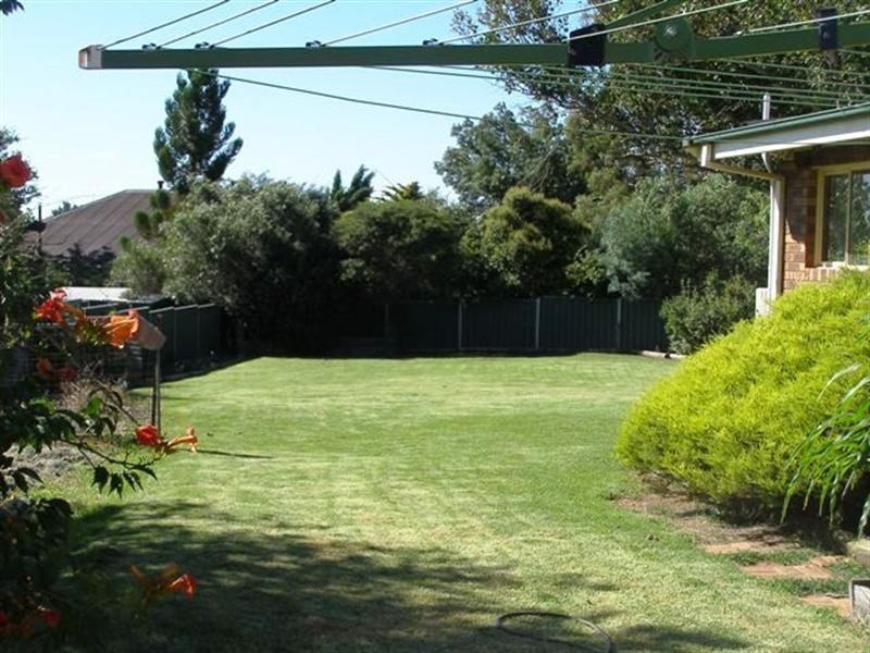 115 Molong Road, Orange NSW 2800