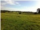 121 Long Swamp Road, Forest Reefs NSW 2798