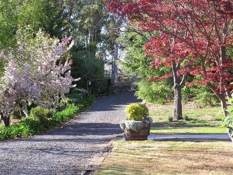 Shanad Griffin Road, Orange NSW 2800