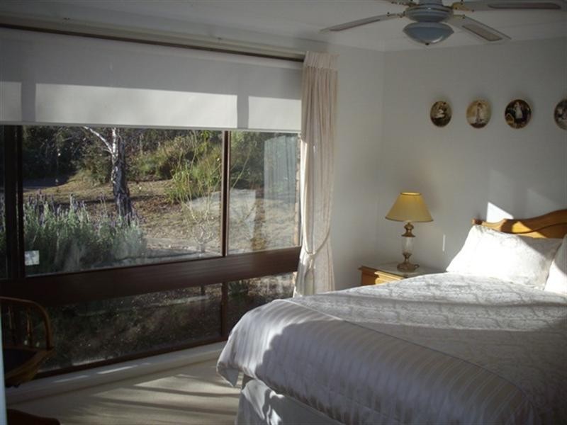 Shanad Griffin Road, Orange NSW 2800