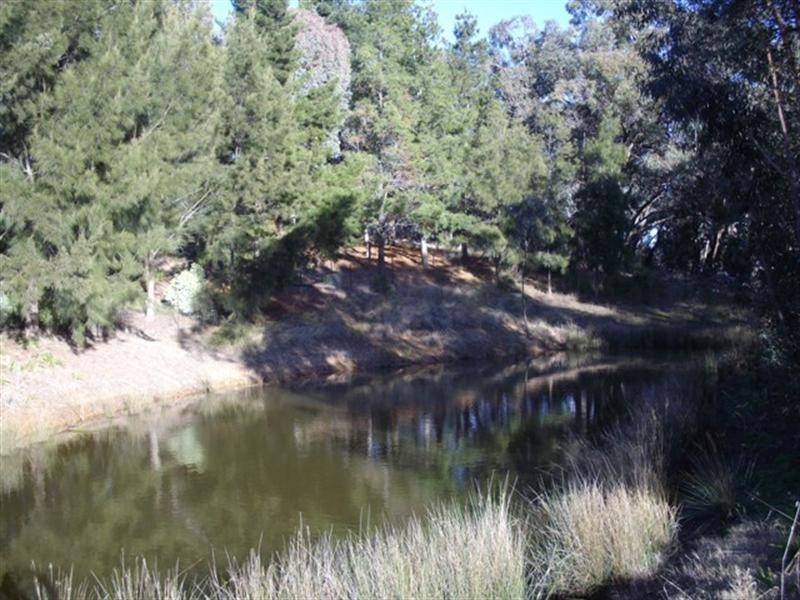 Shanad Griffin Road, Orange NSW 2800