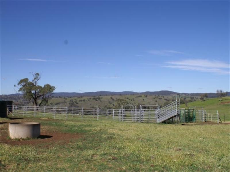 “Rocky Ophir Road, Orange NSW 2800
