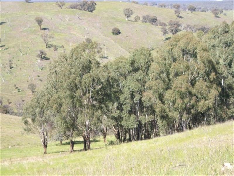 “Rocky Ophir Road, Orange NSW 2800