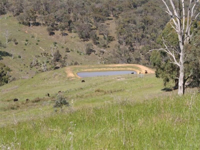 “Rocky Ophir Road, Orange NSW 2800
