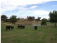 2345 Ophir Road, Orange NSW 2800