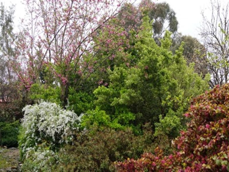 13 Ophir Road, Orange NSW 2800