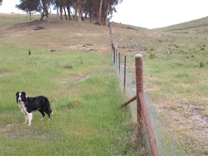 2345 Ophir Road, Orange NSW 2800