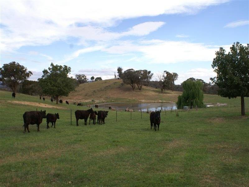 2345 Ophir Road, Orange NSW 2800
