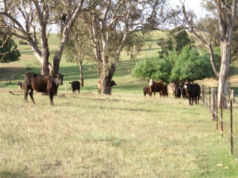 2345 Ophir Road, Orange NSW 2800