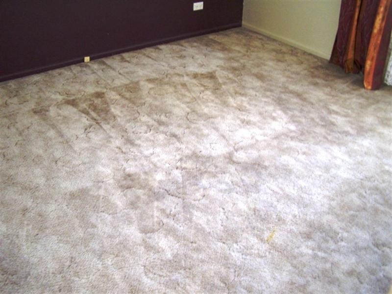 6/11 Boolaroo Place, Orange NSW 2800