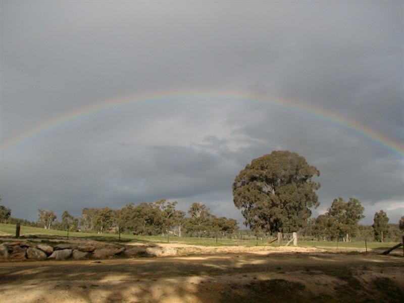 242 Long Point Road, Mullion Creek NSW 2800