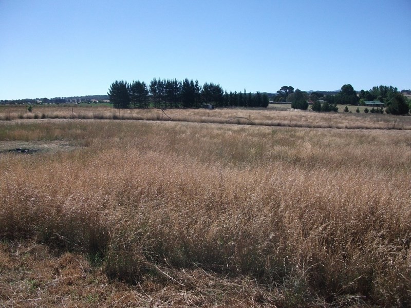 30 Carcoar Rd Forest Reefs, Orange NSW 2800