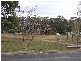 4 Thornbury Street, Parkes NSW 2870