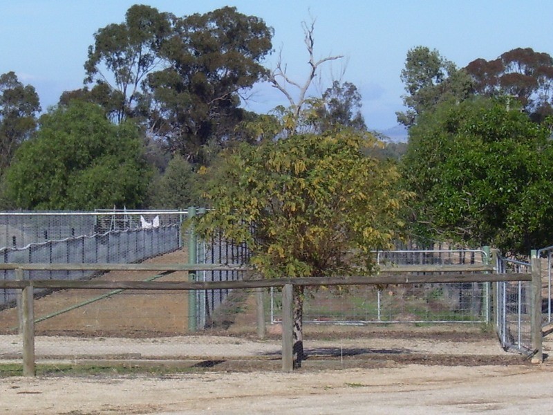 Lot 2 Fobes Road, Eugowra NSW 2806