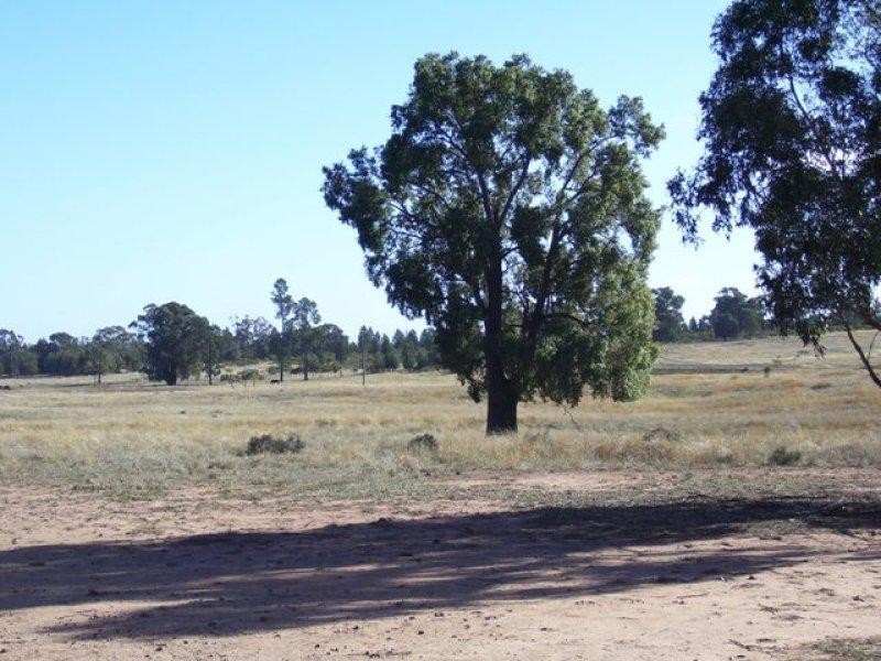 242 Cooka Hills Road, Cookamidgera NSW 2870