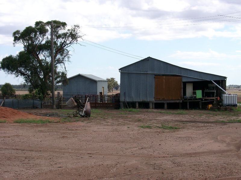 0 Trelawney Road, Trundle NSW 2875