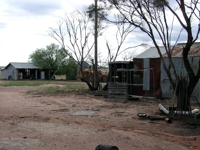 0 Trelawney Road, Trundle NSW 2875