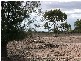 0 Trelawney Road, Trundle NSW 2875