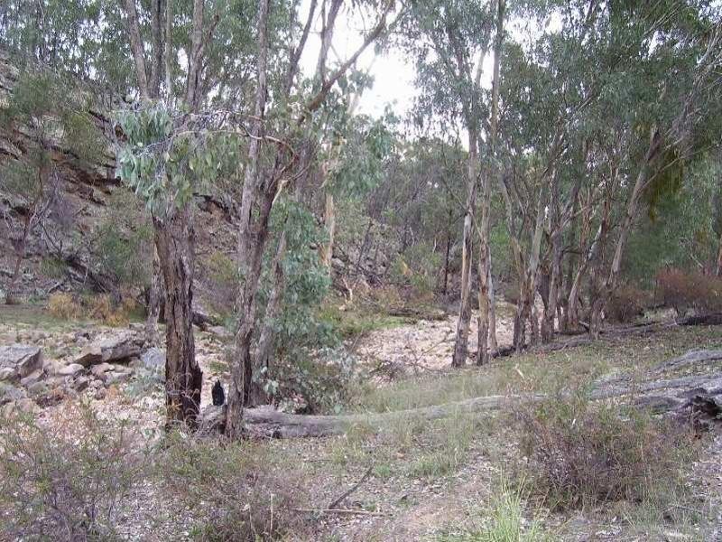0 North Lowanna, Parkes NSW 2870