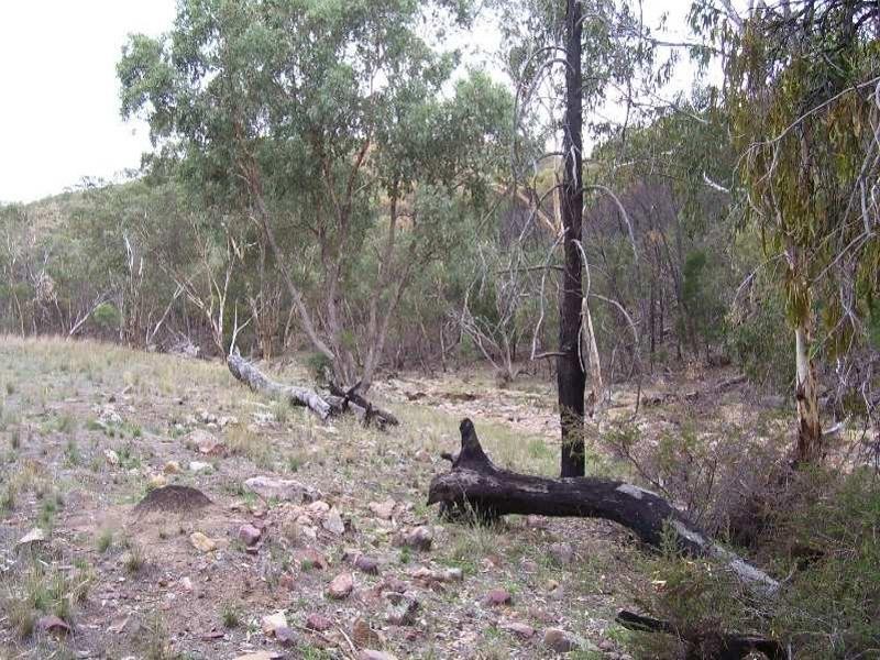 0 North Lowanna, Parkes NSW 2870