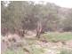0 North Lowanna, Parkes NSW 2870