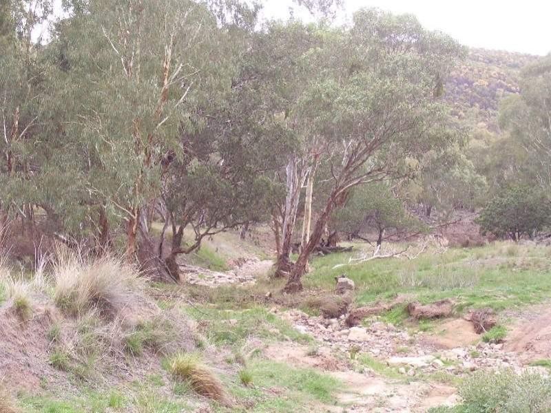 0 North Lowanna, Parkes NSW 2870