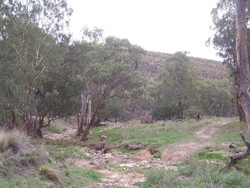 0 North Lowanna, Parkes NSW 2870