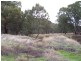 0 North Lowanna, Parkes NSW 2870