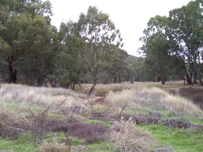 0 North Lowanna, Parkes NSW 2870