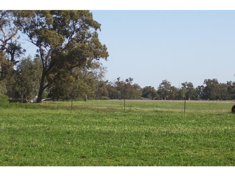 Brazil Watts Lane, Parkes NSW 2870