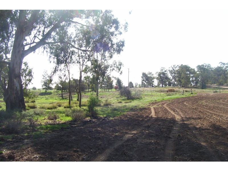 Brazil Watts Lane, Parkes NSW 2870