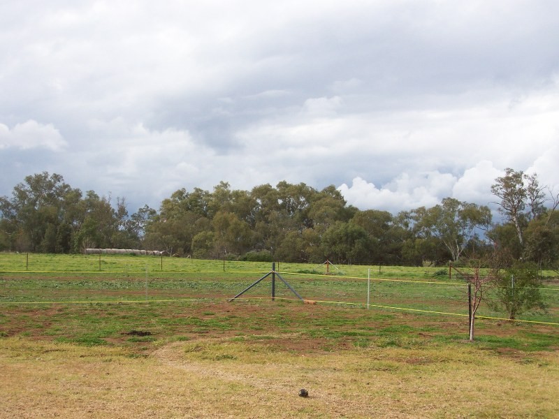 Wangara Lane, Parkes NSW 2870