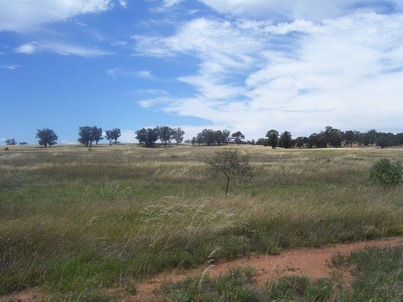 Lot 6 Gold Rush Road, Parkes NSW 2870