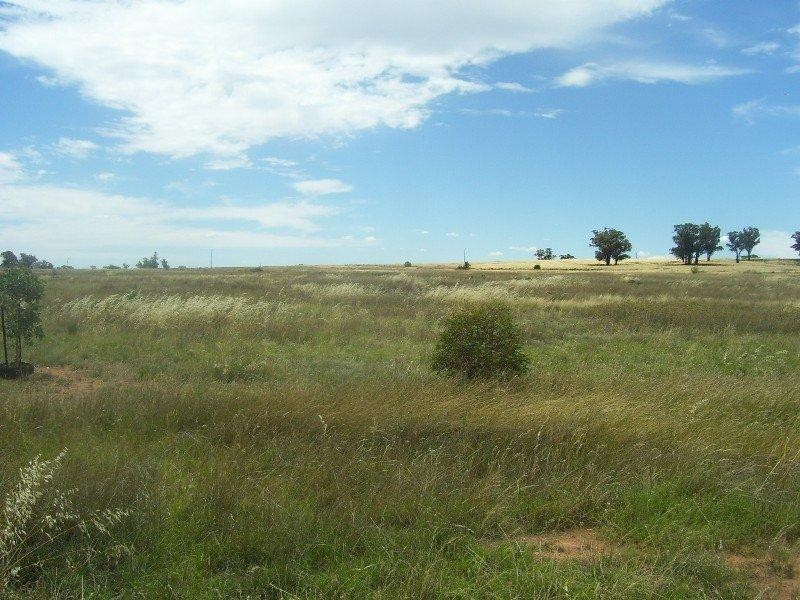 Lot 6 Gold Rush Road, Parkes NSW 2870