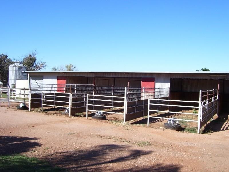 129 Victoria Street, Parkes NSW 2870